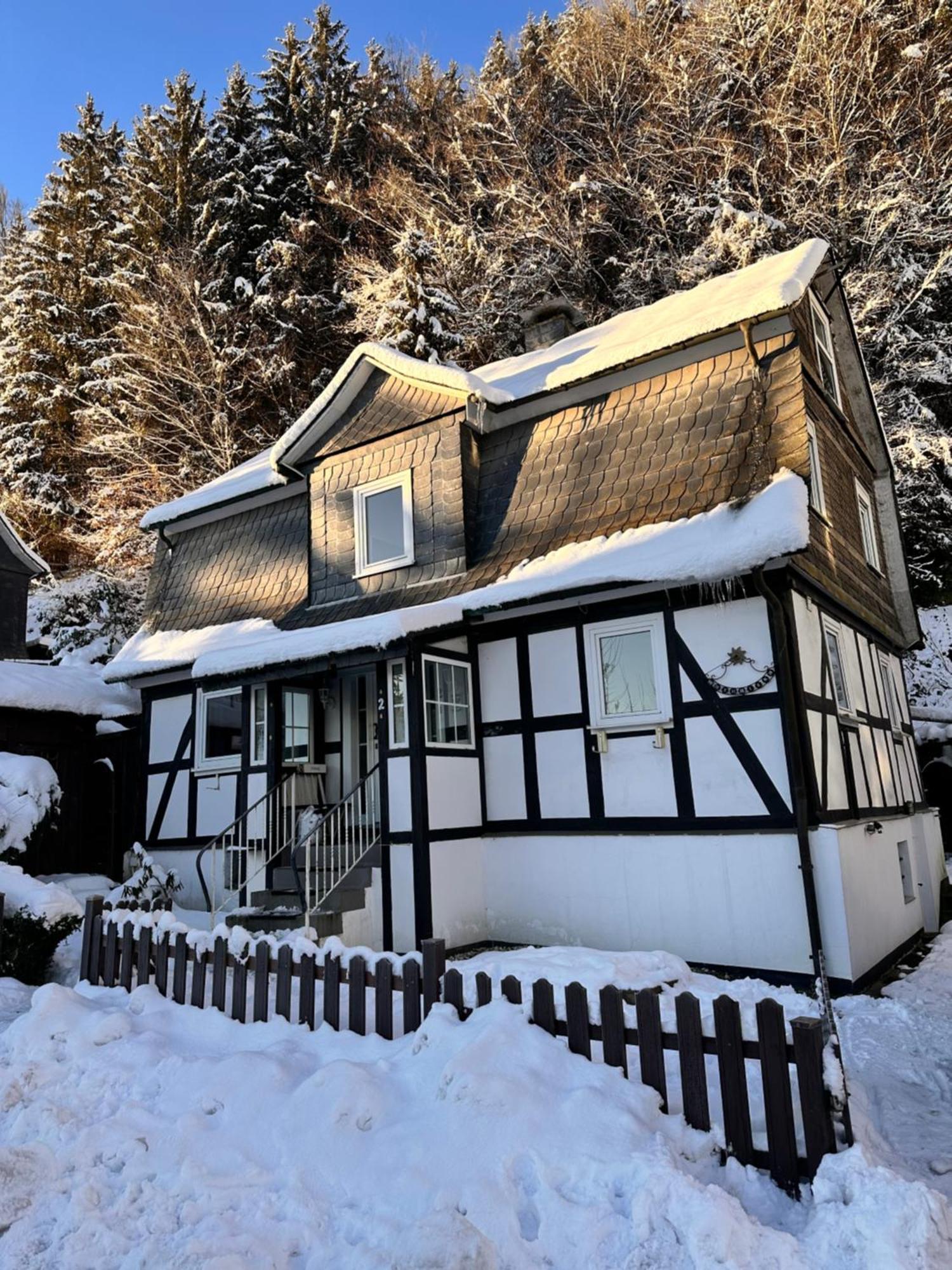 Ferienhaus Waldtraum وينتربرغ المظهر الخارجي الصورة